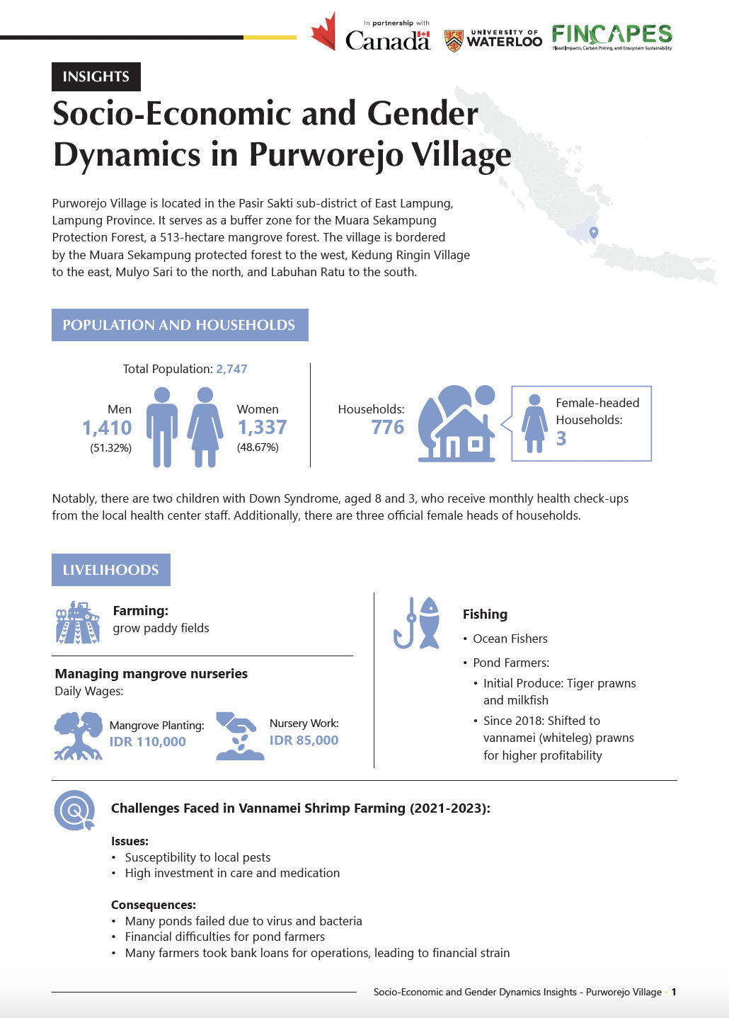 FINCAPES INSIGHTS: Socio-Economic and Gender Dynamics in Purworejo Village