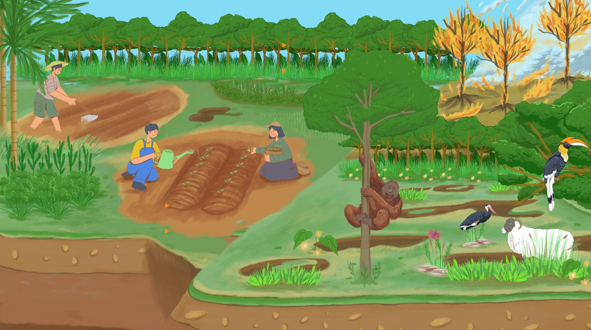 Nature, People and Partnership: The FINCAPES Approach to Peatland Restoration in Indonesia