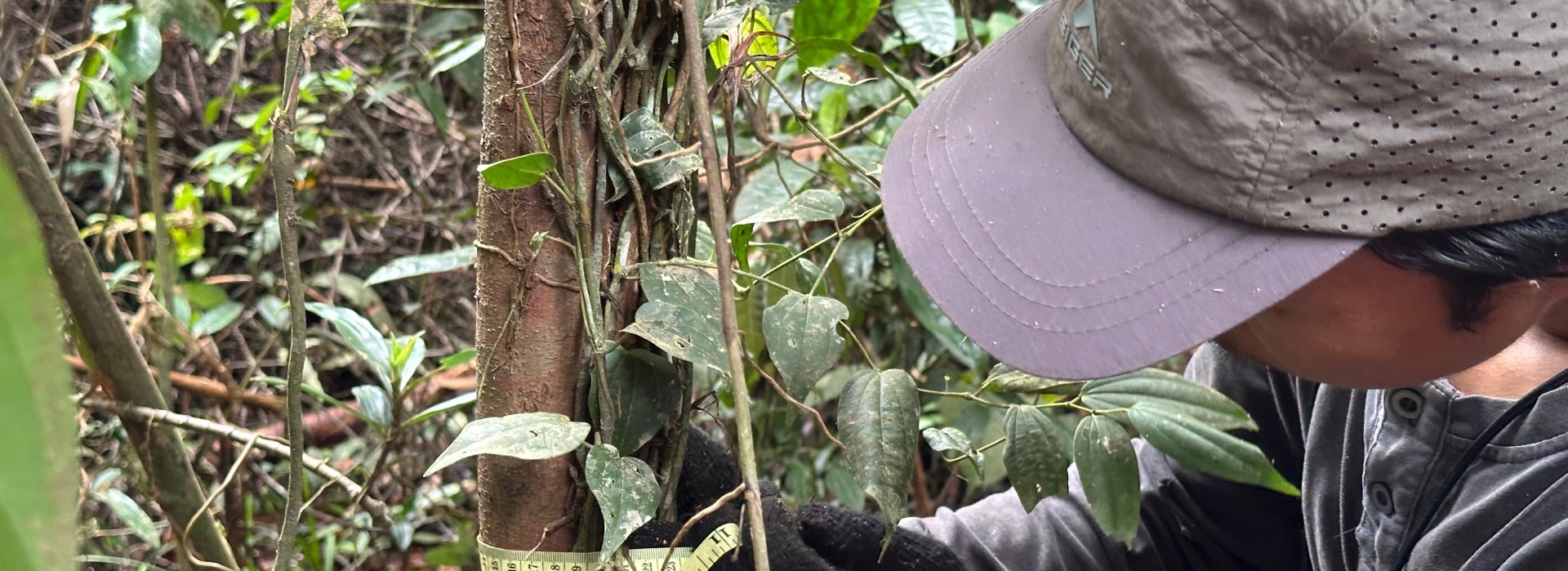 FINCAPES WORK-INTEGRATED LEARNING: Skills for a Shared Future