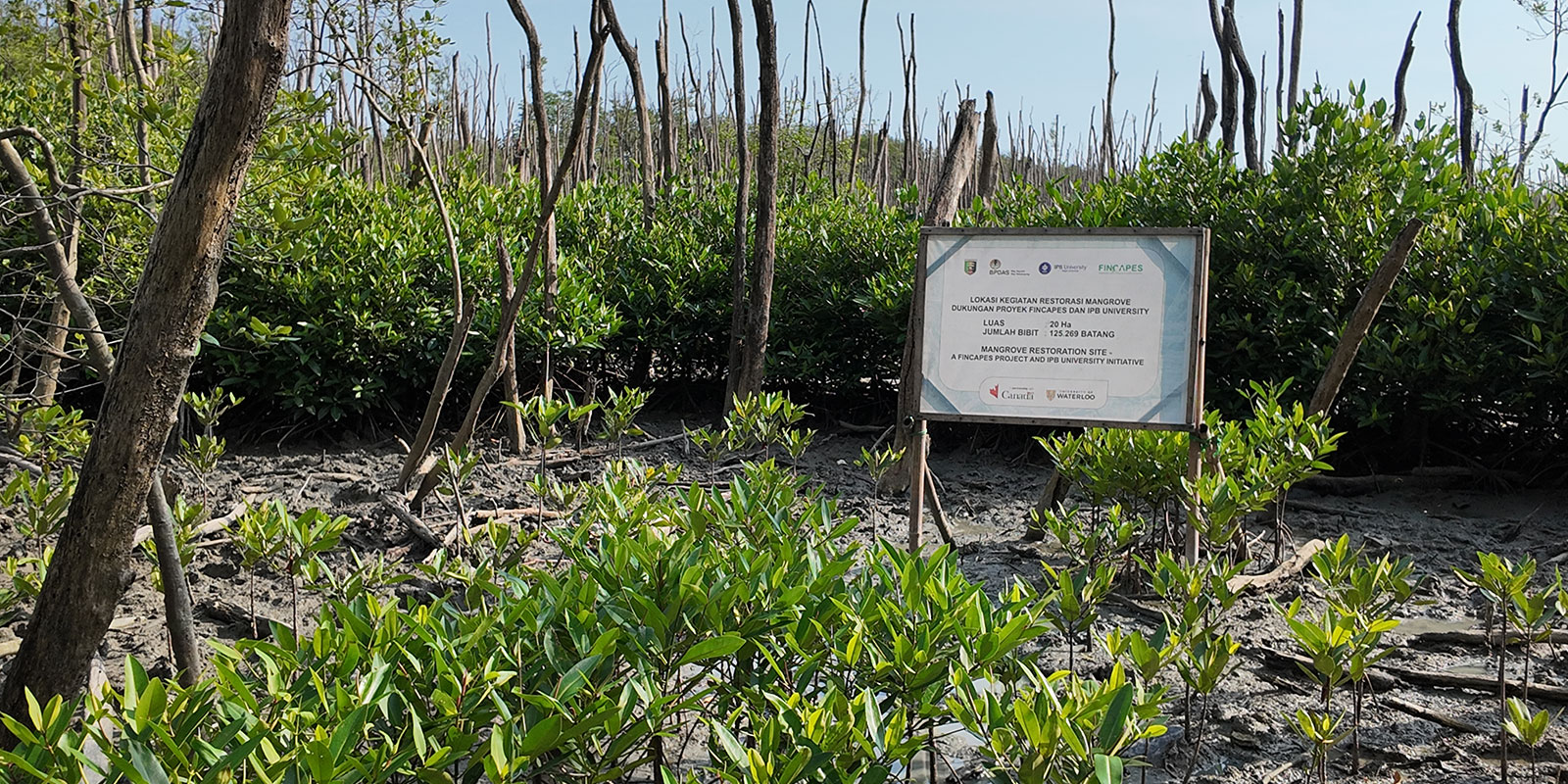 Working with communities to restore degraded ecosystem