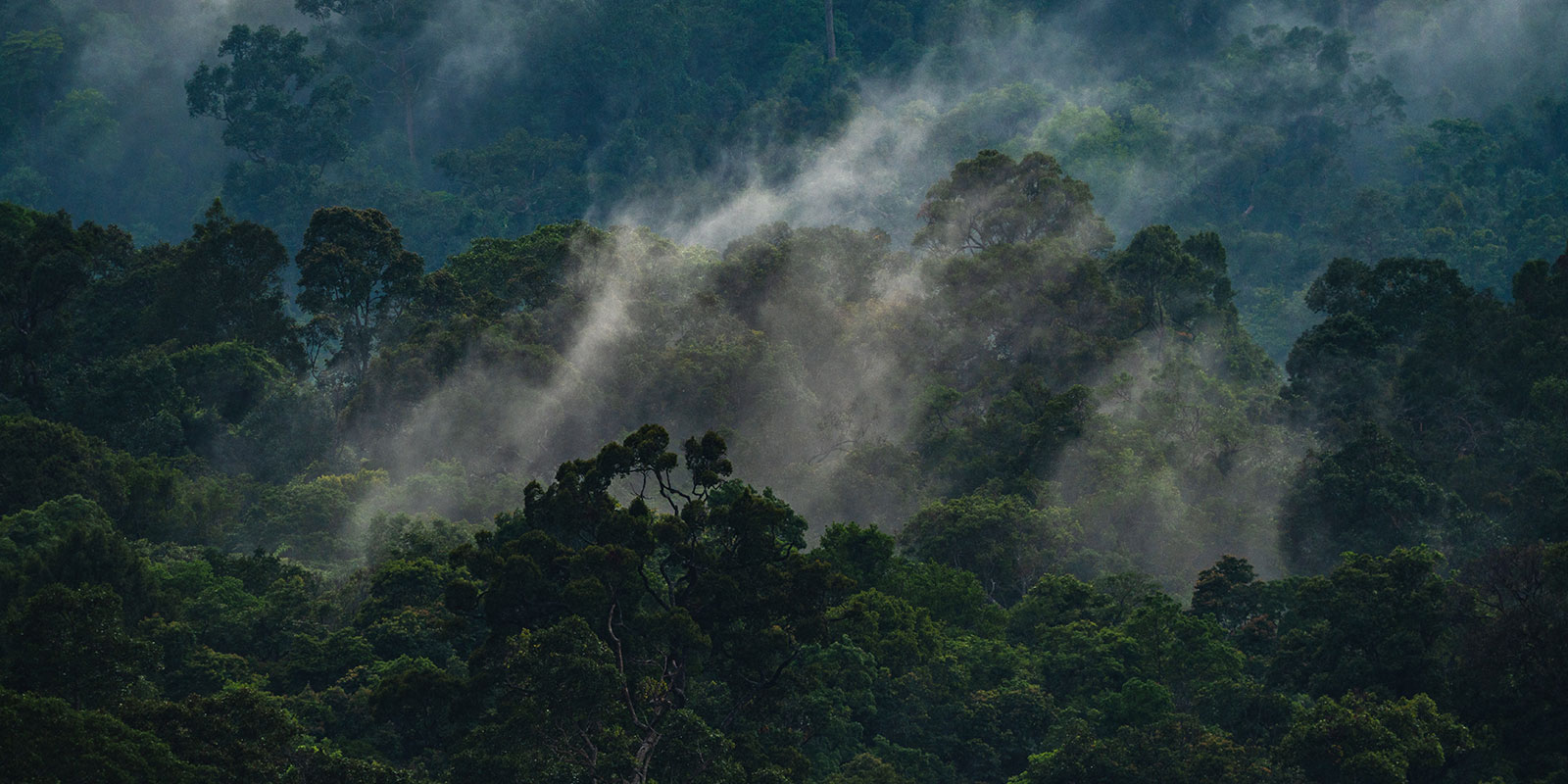 Financing a low-carbon economy