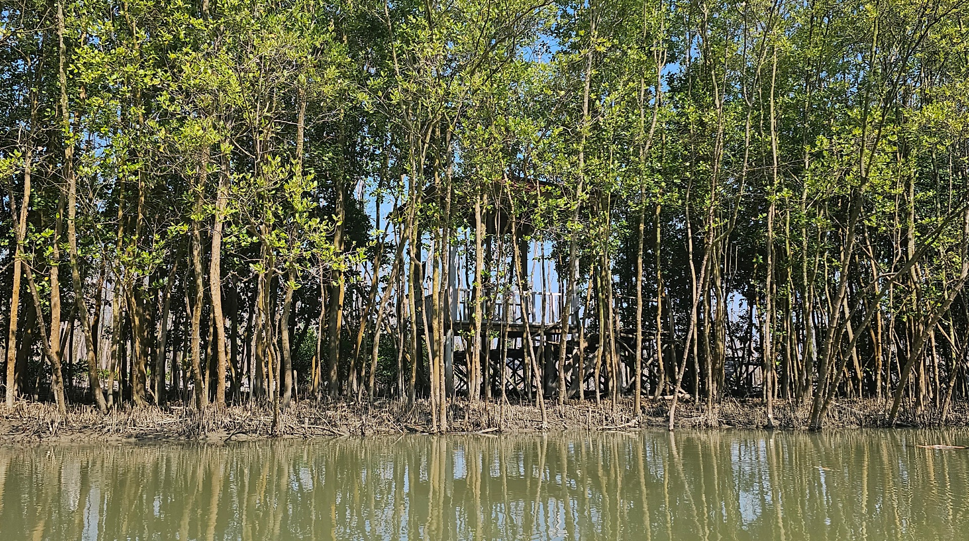 Strengthening Indonesia's Ecosystem Resilience: FINCAPES' Role in Advancing Nature-based Solutions